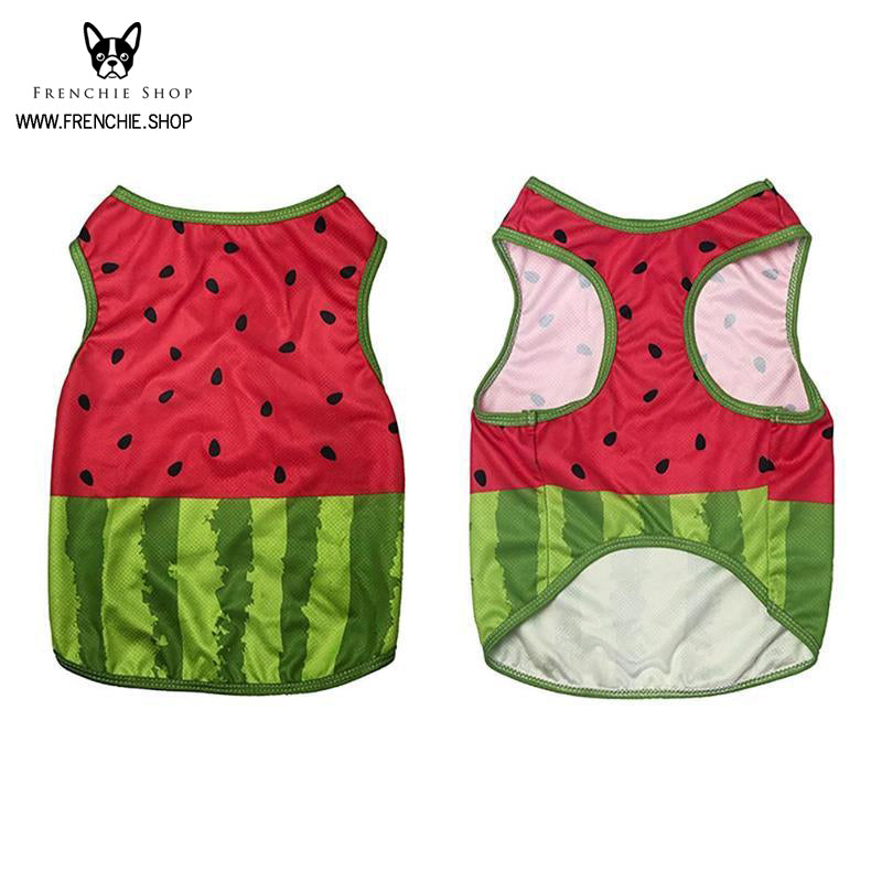 Coolify™ V2: Sommer Kühlshirt (CS18) | Karnz