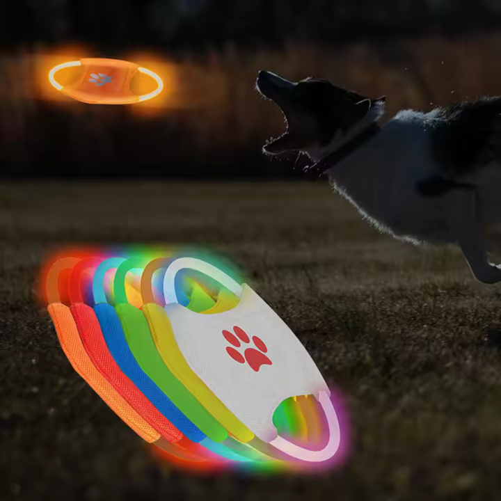 LED Frisbee für Hunde wiederaufladbar und wasserdicht Karnz