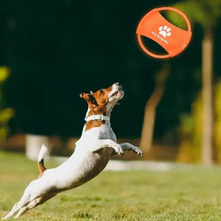 LED Frisbee für Hunde wiederaufladbar und wasserdicht Karnz
