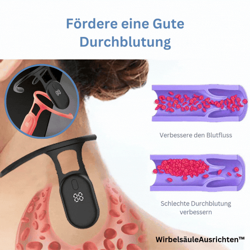 Karnz | SpineAlign™ Wirbelsäulen-Wellness-Schutz