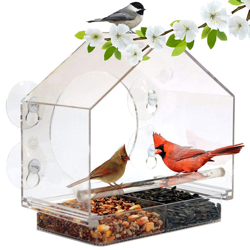 Smart Bird Feeder mit Live-Kamera | Karnz