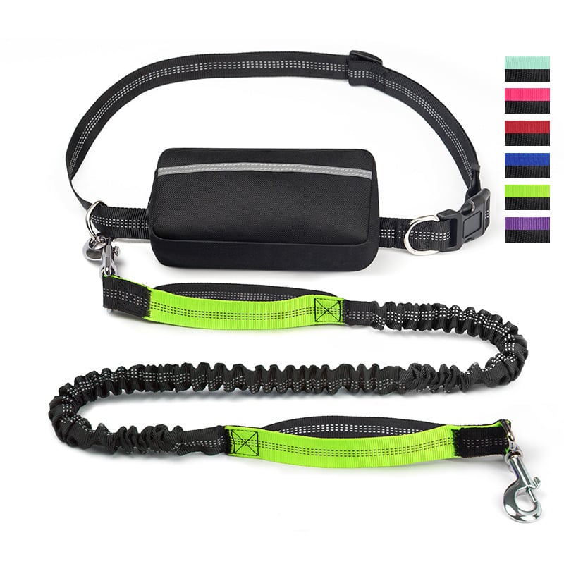 FlowLeash — Erleben Sie sanfte Kontrolle und entspannte Gassirunden ohne Rucke! | Karnz