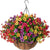 EterniBloom — Strahling flowers magnificence that never fades and enchants your home | Karnz