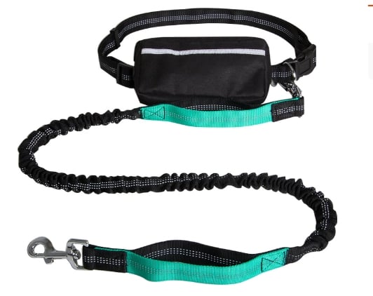 FlowLeash — Erleben Sie sanfte Kontrolle und entspannte Gassirunden ohne Rucke! | Karnz