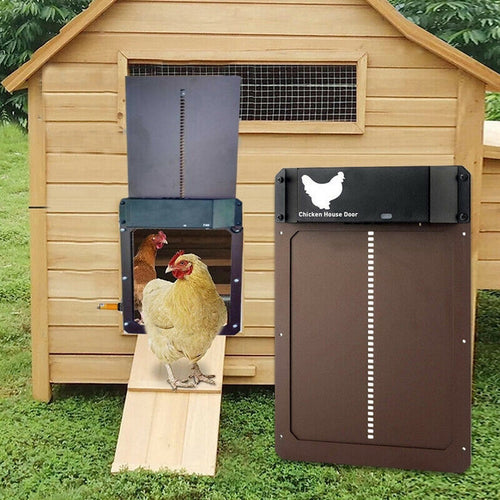 Coop-Wache | Automatische Hühnertür | Karnz