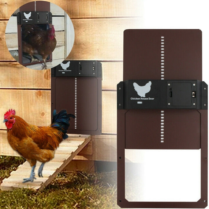 Poultry PRO+ | Automatische Hühnerklappe