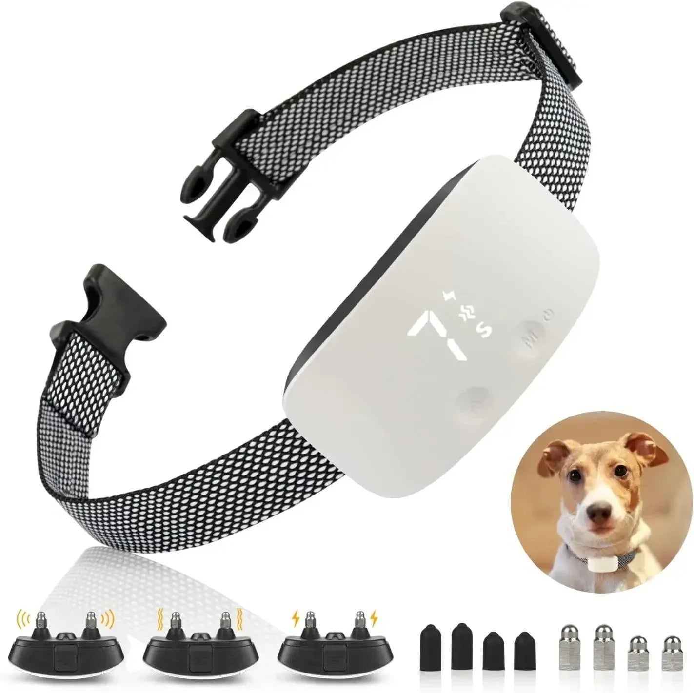 StilPoot Hundetrainingshalsband Wiederaufladbar und Wasserdicht | Karnz
