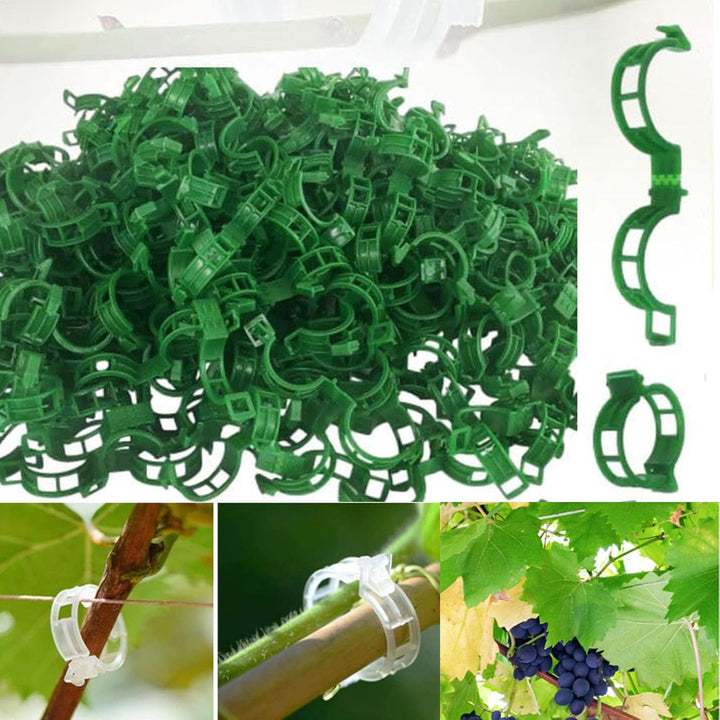 Karnz | Tomatenclips, Kunststoffspalierclips