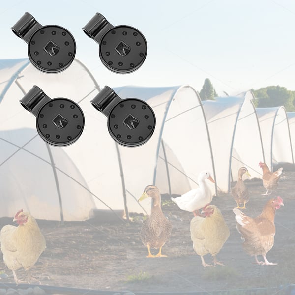 Clippers | Pflanzlicher Sonnenschutz | Karnz