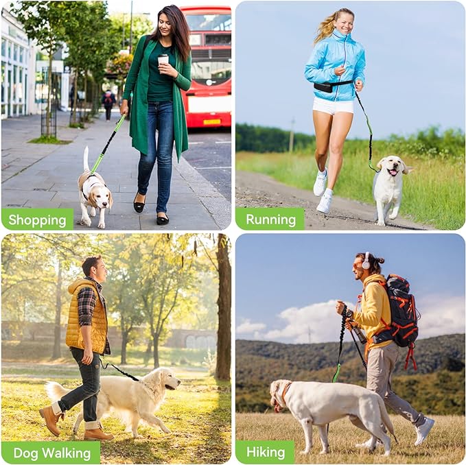 FlowLeash — Erleben Sie sanfte Kontrolle und entspannte Gassirunden ohne Rucke! | Karnz