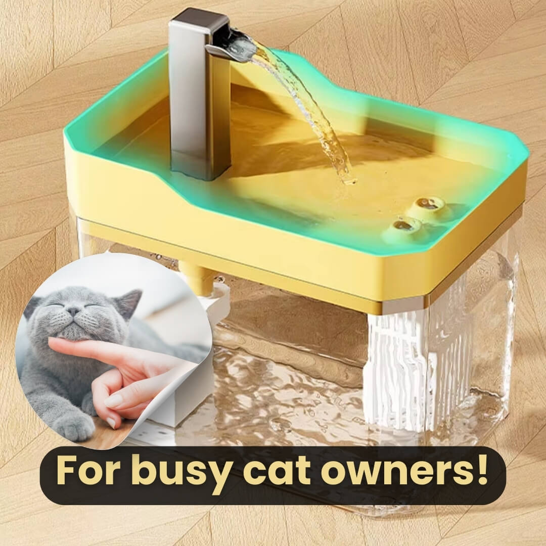 Katzen-Trinkbrunnen 360° Sensor 1,5 L leise | Karnz
