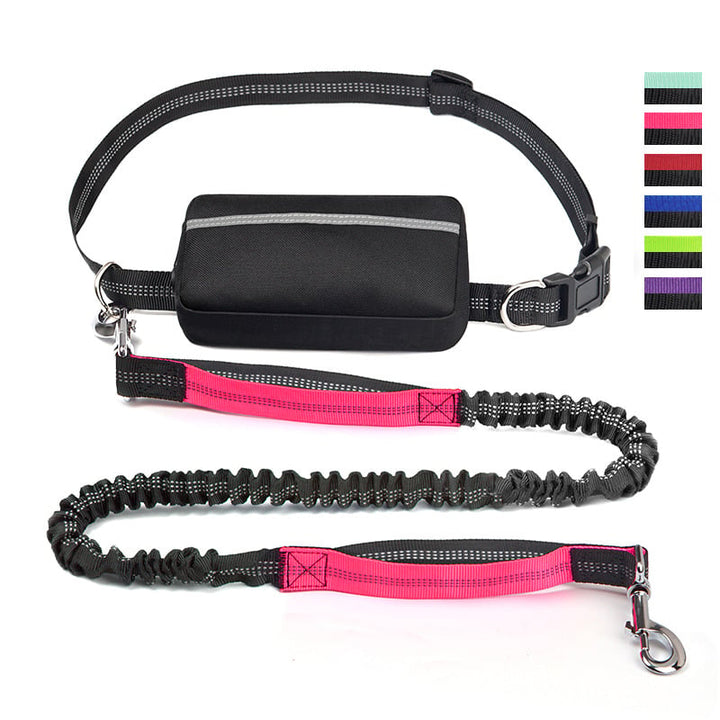 FlowLeash — Erleben Sie sanfte Kontrolle und entspannte Gassirunden ohne Rucke! | Karnz