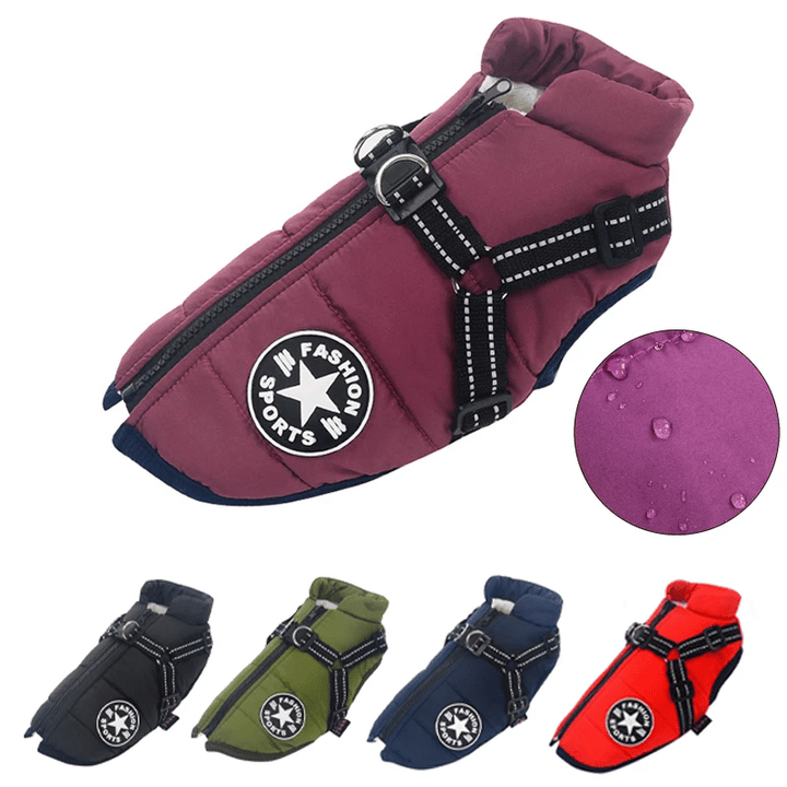 Winter Hundejacke mit Geschirr | Karnz