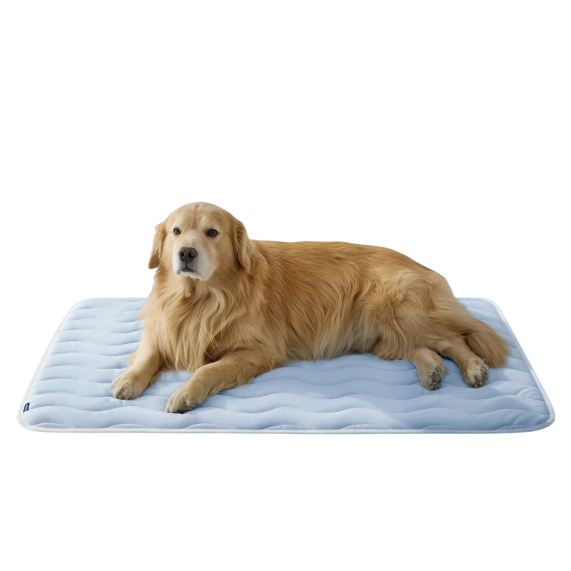 Extra Large Kühlende Hundematte Pad | Karnz