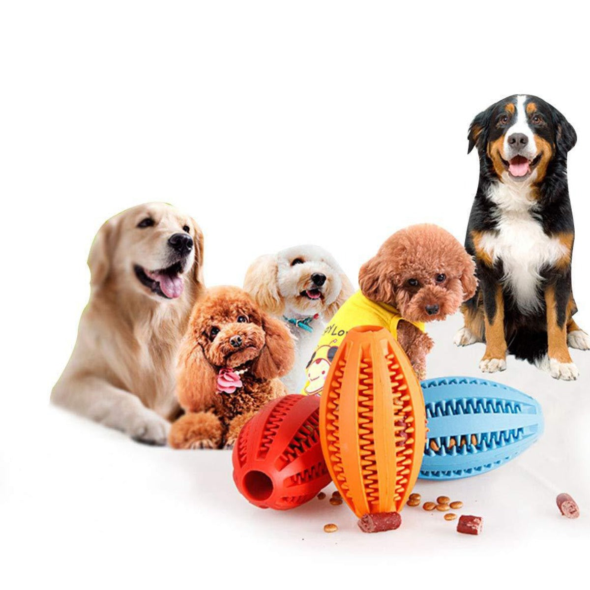 Sandsberg | Hund kaut Gummi Backenzahn Spielzeug