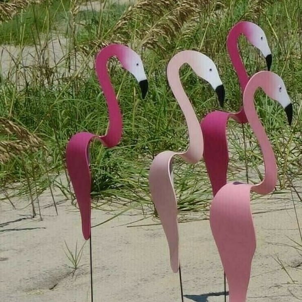 🐓Wirbelnder Flamingo im Garten💖