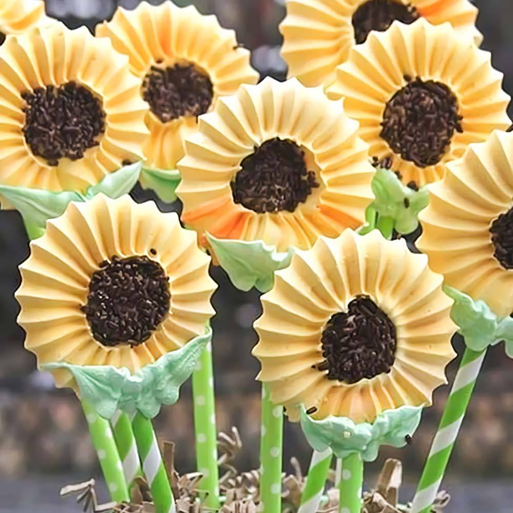 Große Spritzbeutel Tülle | Karnz
