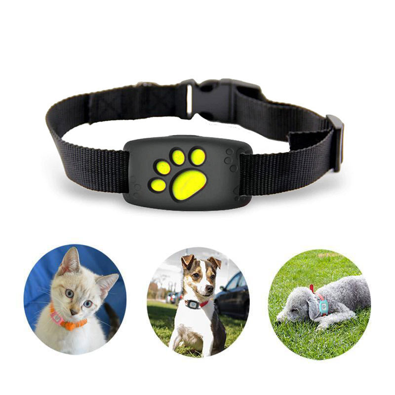 Karnz | Schlankes GPS Katzenhalsband