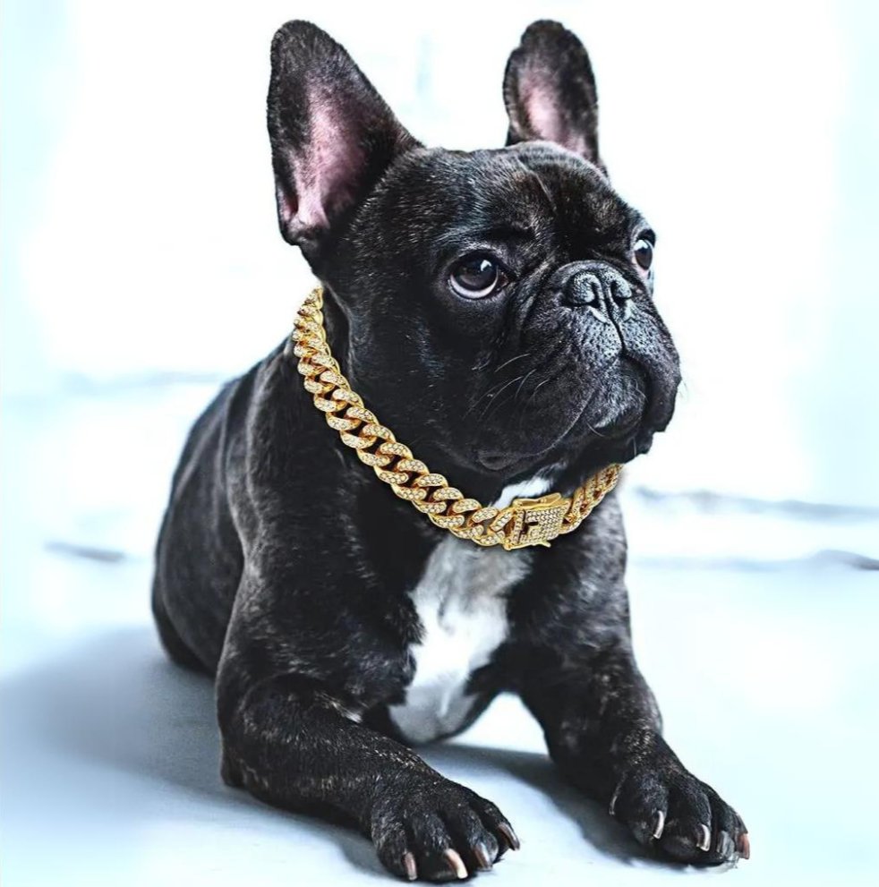 BlingPaws • Hund Goldkette Halsband