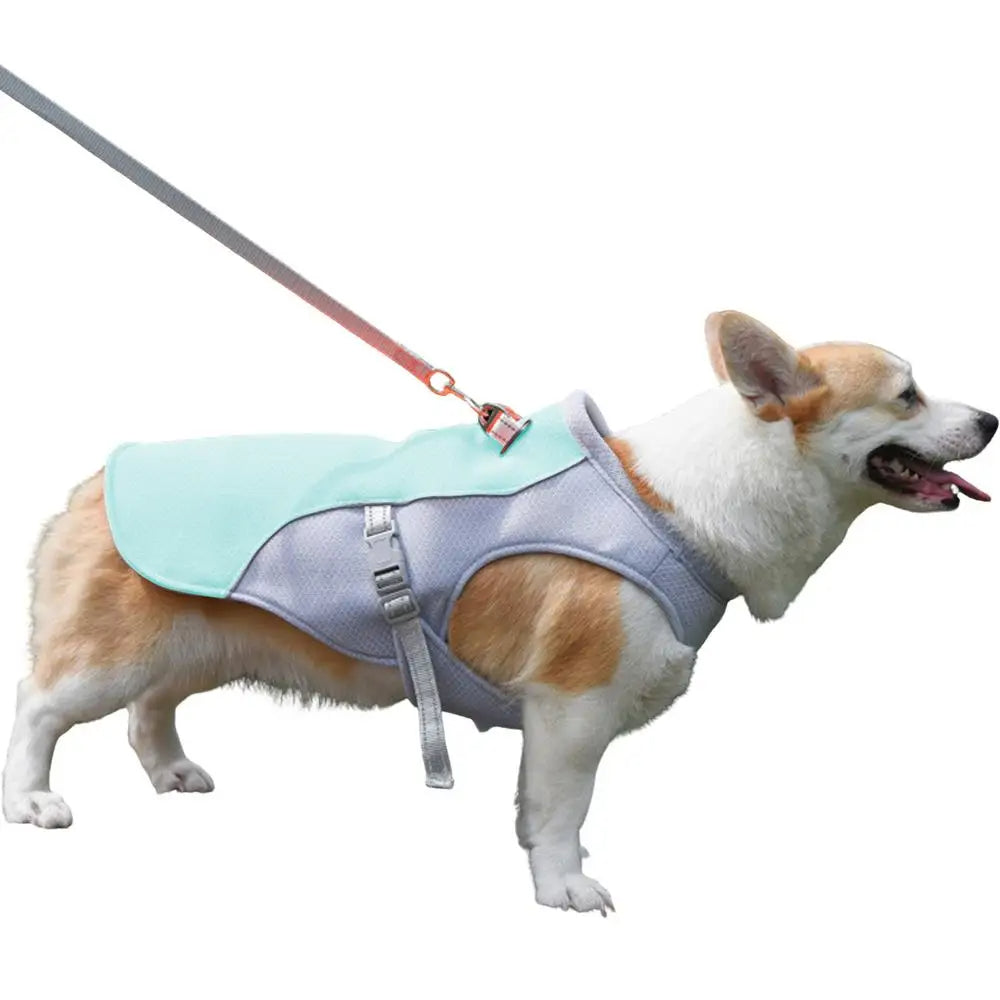 Hundekühlweste für Outdoor-Aktivitäten | Karnz