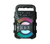 SoundPulse Wireless Lautsprecher – Bluetooth Lautsprecher mit FM, USB & Lichtshow | Karnz