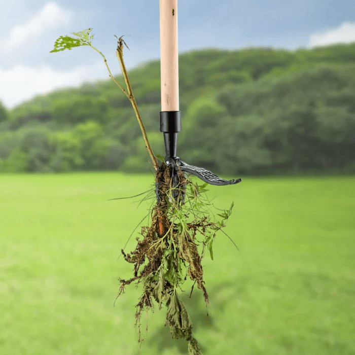 RootRage — Befreie deinen Garten schmerzfrei von Unkraut und spüre die pure Naturkraft! | Karnz