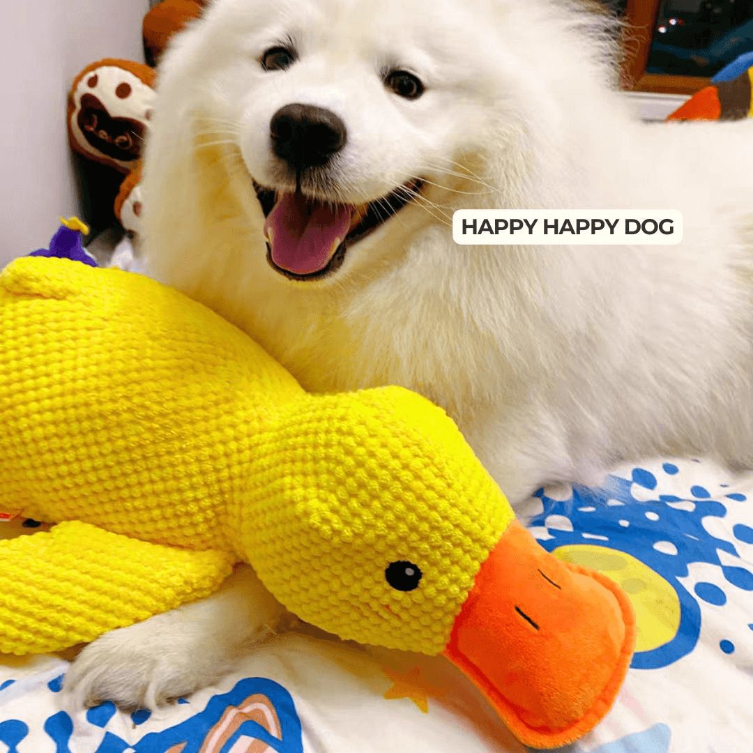Beruhigender Enten für Hunde