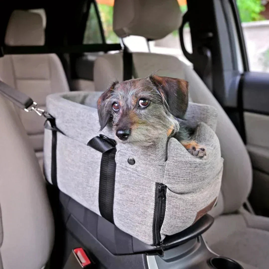 Karnz | Auto-Hundesitz PetCruza | Sicher & Gepolstert | Für kleine Hunde bis 11 kg | Einfach zu installieren
