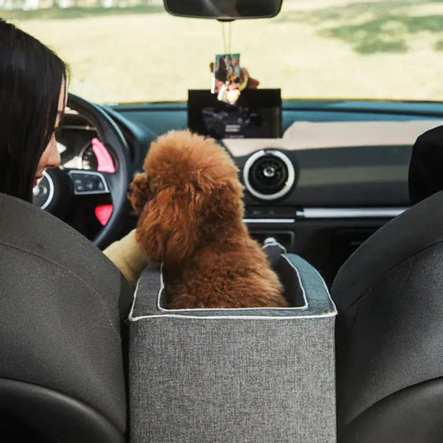 Karnz | Auto-Hundesitz PetCruza | Sicher & Gepolstert | Für kleine Hunde bis 11 kg | Einfach zu installieren