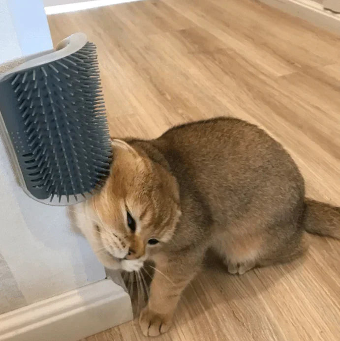Selbstpflege Katzen Eckenbürste – FurRelaxer Karnz