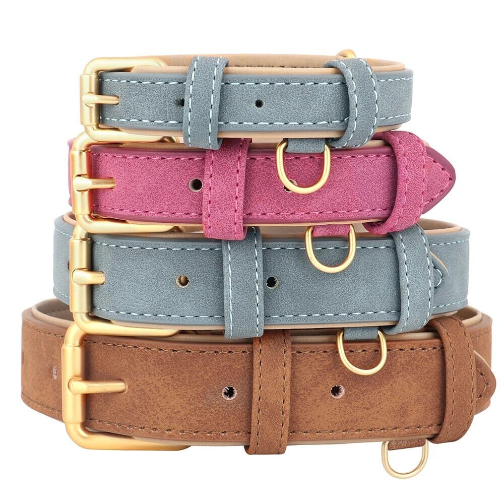 Karnz Pup Halsband