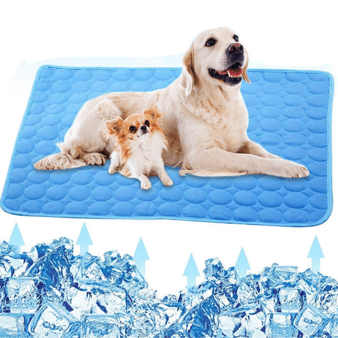 Cooling Dog Mat - CoolPet Mat Karnz