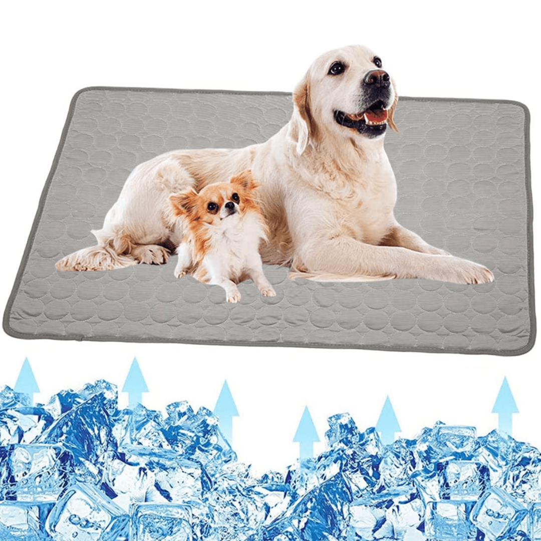 Cooling Dog Mat - CoolPet Mat Karnz