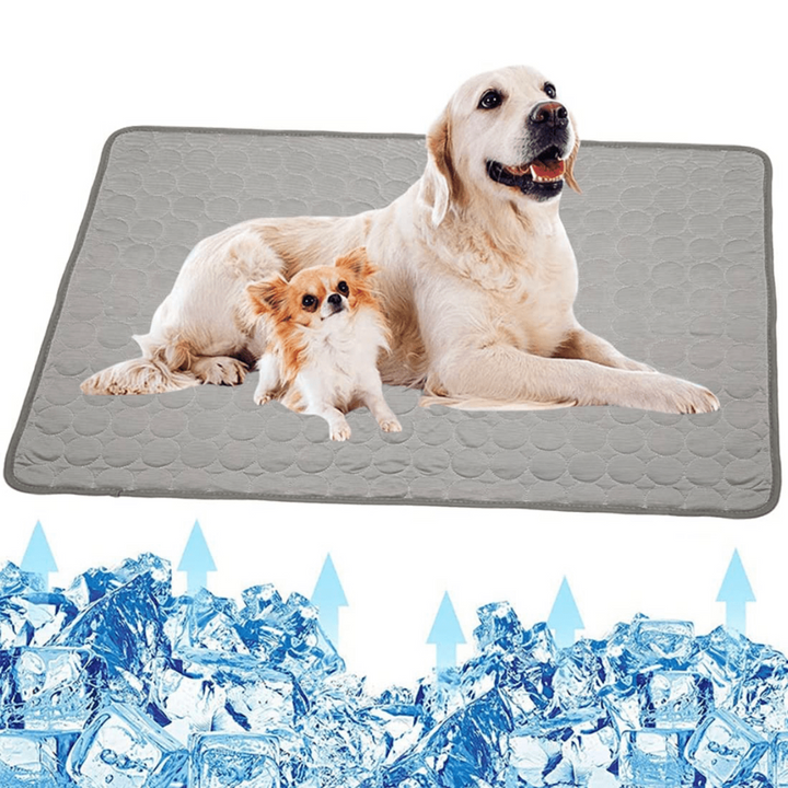 Cooling Dog Mat - CoolPet Mat Karnz