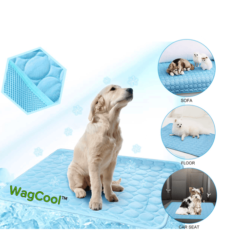 Cooling Dog Mat - CoolPet Mat Karnz