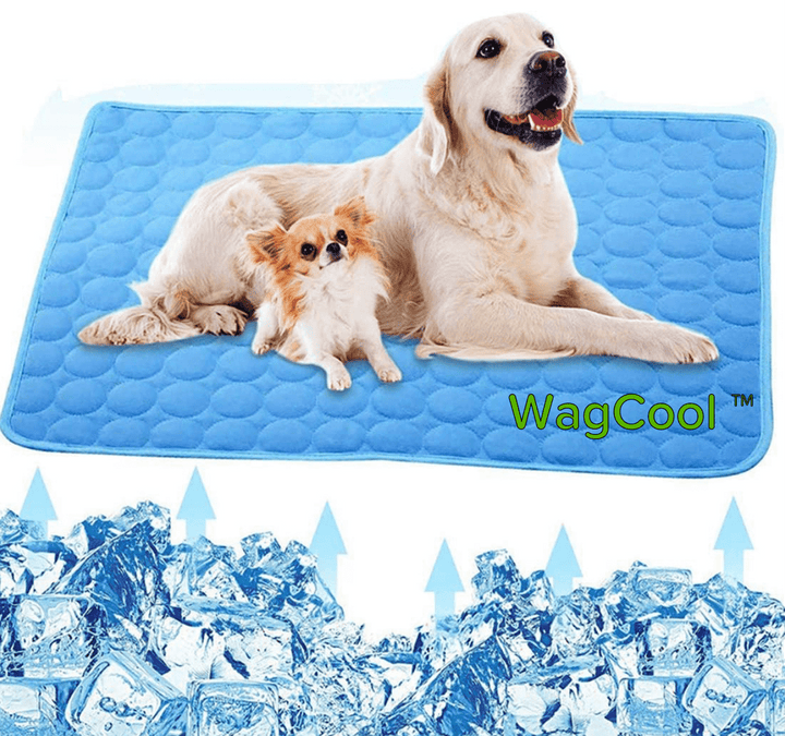Cooling Dog Mat - CoolPet Mat Karnz