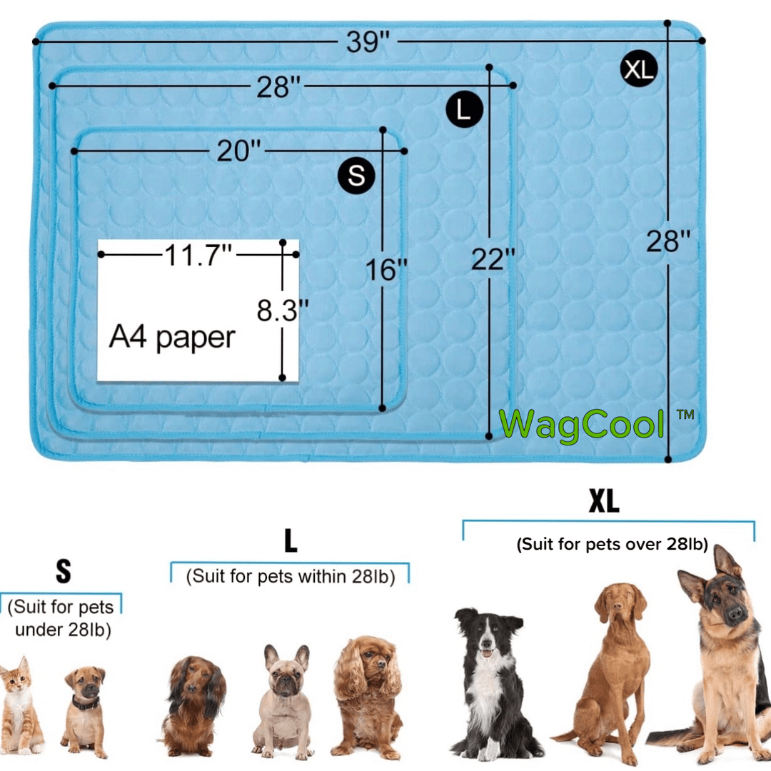 Cooling Dog Mat - CoolPet Mat Karnz