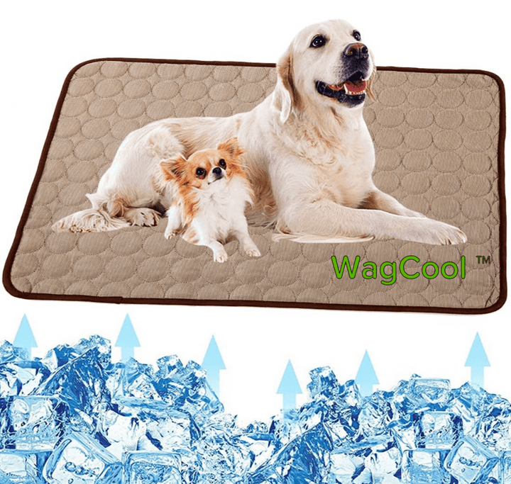 Cooling Dog Mat - CoolPet Mat Karnz