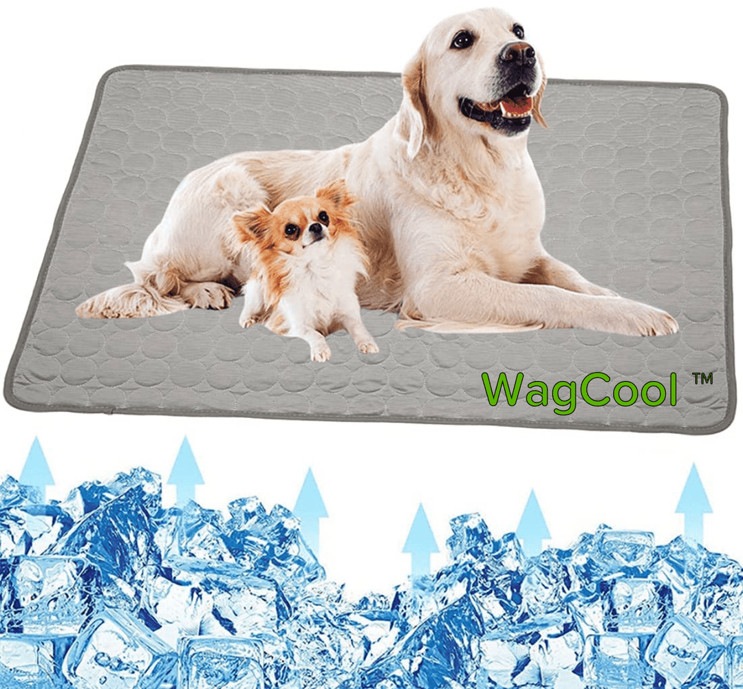 Cooling Dog Mat - CoolPet Mat Karnz