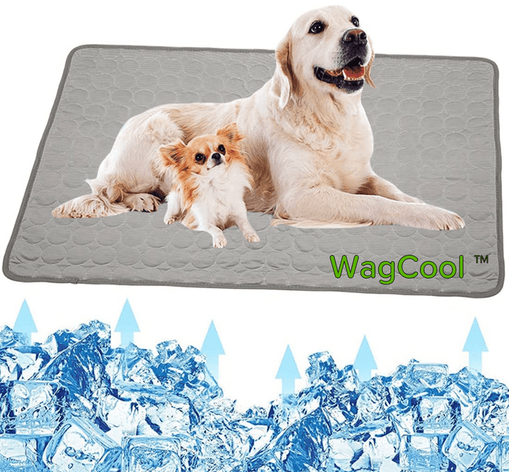 Cooling Dog Mat - CoolPet Mat Karnz