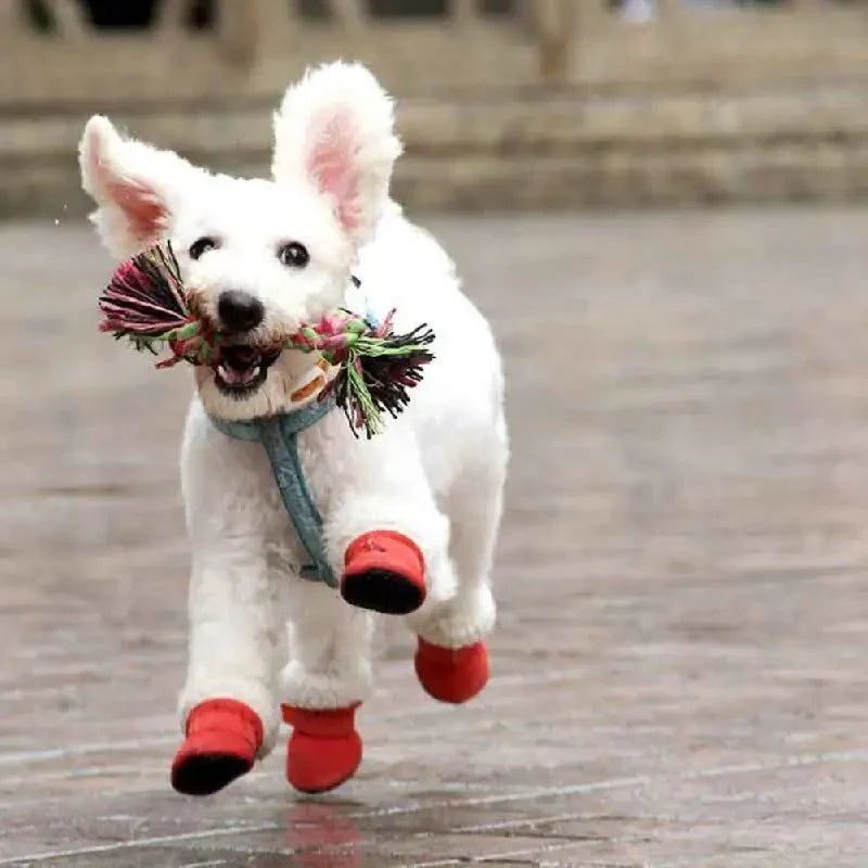 CozyPaws • Hund wasserdichte Stiefel