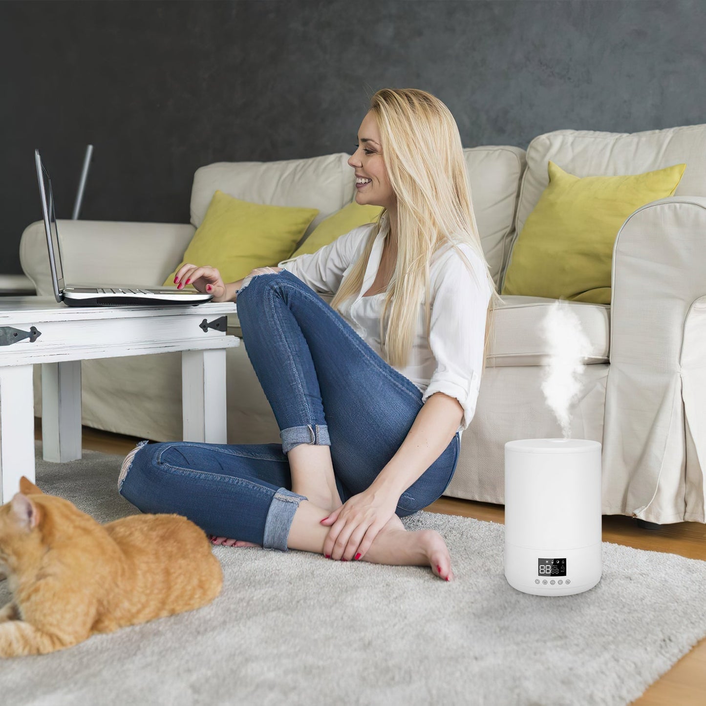 4L Top Fill Luftbefeuchter mit Fernbedienung | Karnz