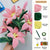 Karnz | DIY Chenille Blumenkit