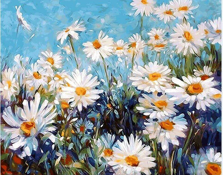 Field of Daisies - Van-Go Malen nach Zahlen Kit | Karnz