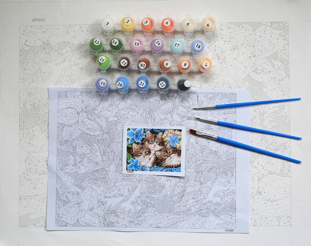 Field of Daisies - Van-Go Malen nach Zahlen Kit | Karnz