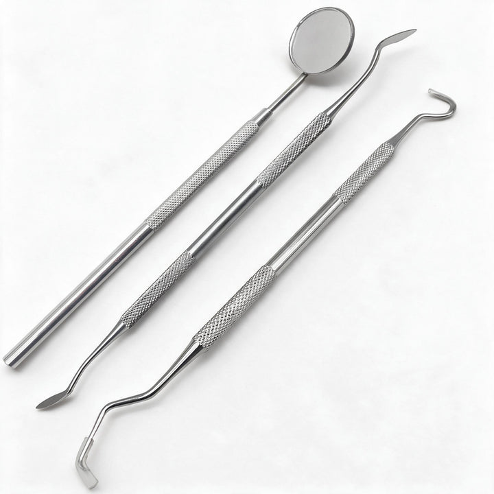Zahnärztliche Instrumente | Zahnsteinentferner-Set aus Edelstahl für Zuhause