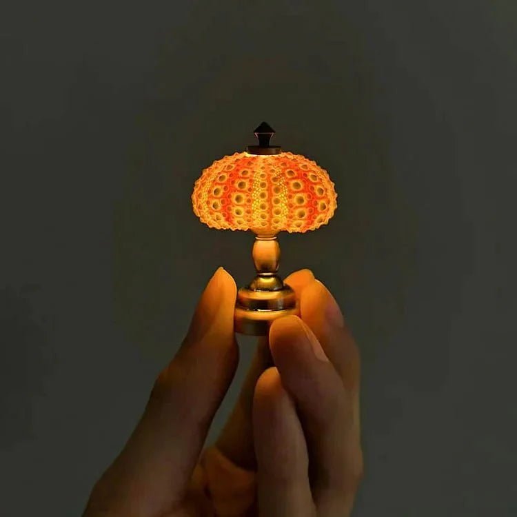 DIY Seeigel Nachtlicht - LumiUrchin | Karnz