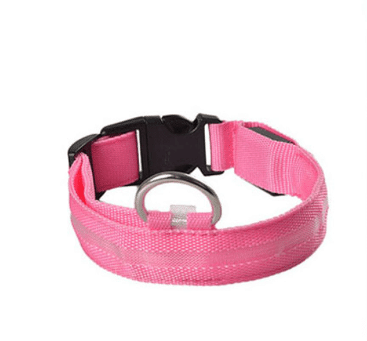 Hundehalsband mit LED-Licht | Karnz