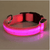 Hundehalsband mit LED-Licht | Karnz