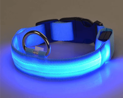 Hundehalsband mit LED-Licht | Karnz